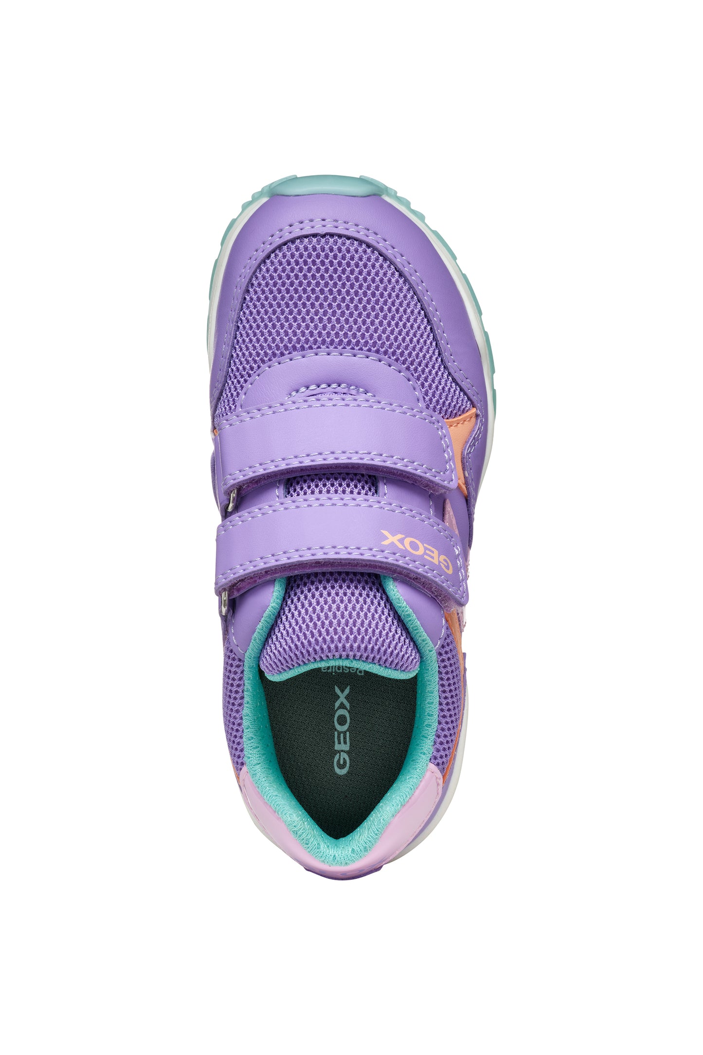Geox Pavel Girls Lilac Turquoise Trainer
