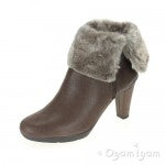 An Introduction To Geox